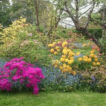 Hillingdon wins gold and other accolades at London in Bloom awards Hillingdon in bloom 2021 | Hillingdon Today