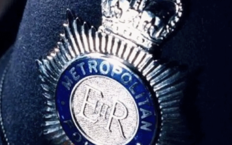Metropolitan police custodian helmet | Hillingdon Today