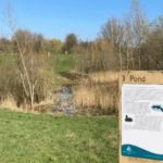 Four more Hillingdon green spaces awarded Green Flag status Hillingdon House Farm in Uxbridge | Hillingdon Today