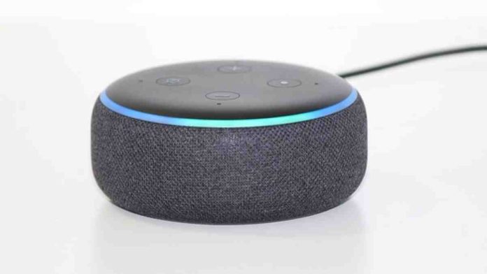 Amazon Echo device | Hillingdon Today
