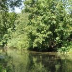 Police Officer celebrated for life saving efforts River Colne | Hillingdon Today