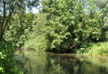 Police Officer celebrated for life saving efforts River Colne | Hillingdon Today