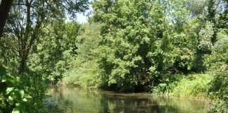 Police Officer celebrated for life saving efforts River Colne | Hillingdon Today