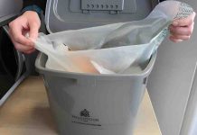 Hillingdon Council Seeks Resident Input to Boost Recycling Rates Hillingdon recycling bin | Hillingdon Today