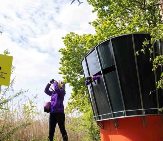 Heathrow Launches Nature Traffic Control Tower to Boost Local Biodiversity Efforts Heathrow nature traffic control tower | Hillingdon Today