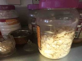 Loosely stored nuts Uxbridge restaurant allergen breach | Hillingdon Today