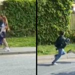 Police Appeal for Help Identifying Teenagers After Shocking Kitten Cruelty in Ruislip Ruislip CCTV Met Police suspects | Hillingdon Today