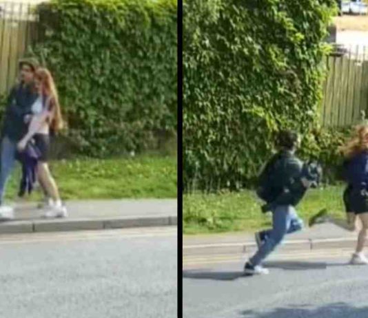 Police Appeal for Help Identifying Teenagers After Shocking Kitten Cruelty in Ruislip Ruislip CCTV Met Police suspects | Hillingdon Today