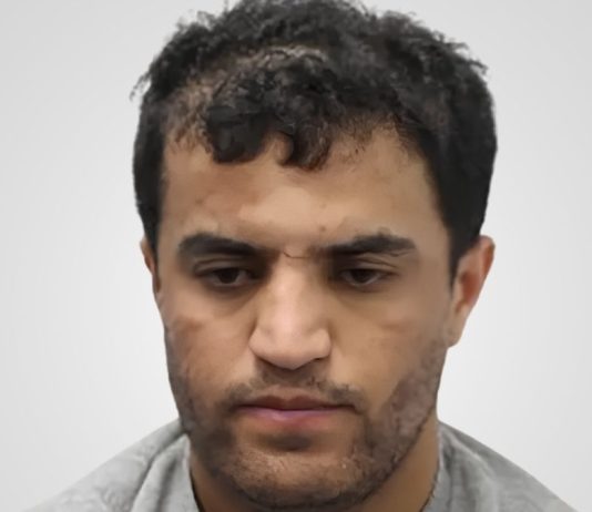 Man Given Indefinite Hospital Order for Fatal Hillingdon Stabbing Dawood Safi | Hillingdon Today